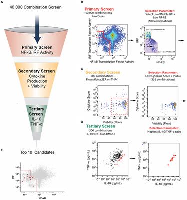 High-throughput screening identification of novel immunomodulatory combinations for the generation of tolerogenic dendritic cells